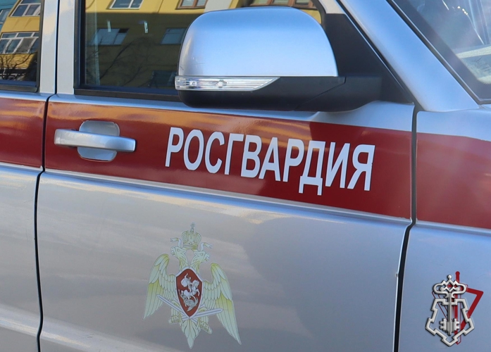 Чукотские Росгвардейцы нашли пропавшую  несовершеннолетнюю девочку